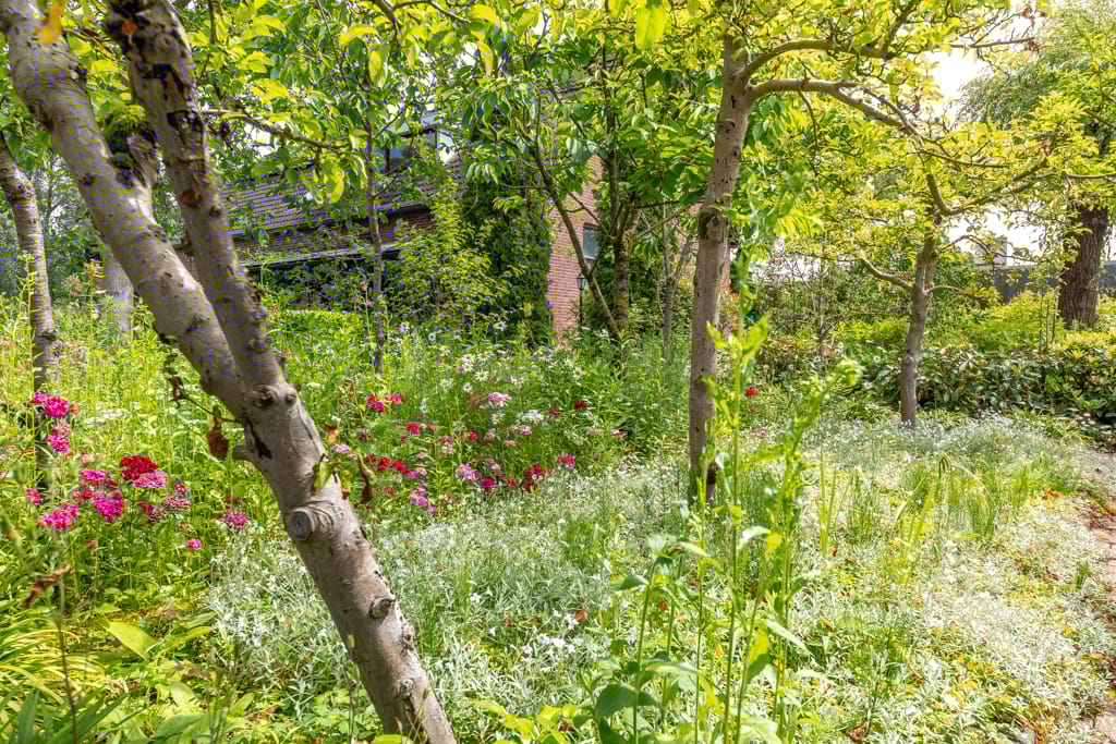 Foto 64 van Munstermanstraat 1