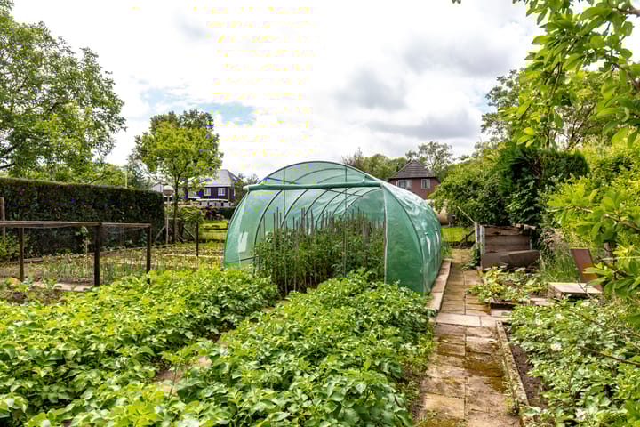 Foto 69 van Munstermanstraat 1