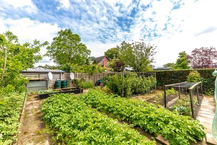 Foto 70 van Munstermanstraat 1