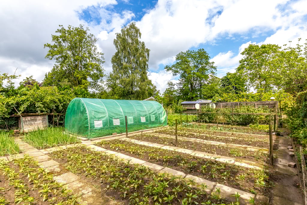 Foto 71 van Munstermanstraat 1