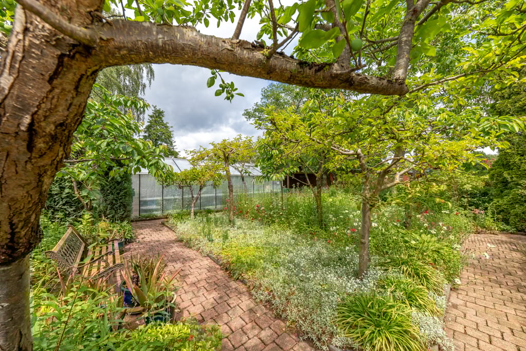 Foto 73 van Munstermanstraat 1