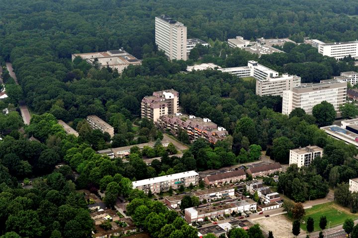 Bekijk foto 41 van Professor Cobbenhagenlaan 782