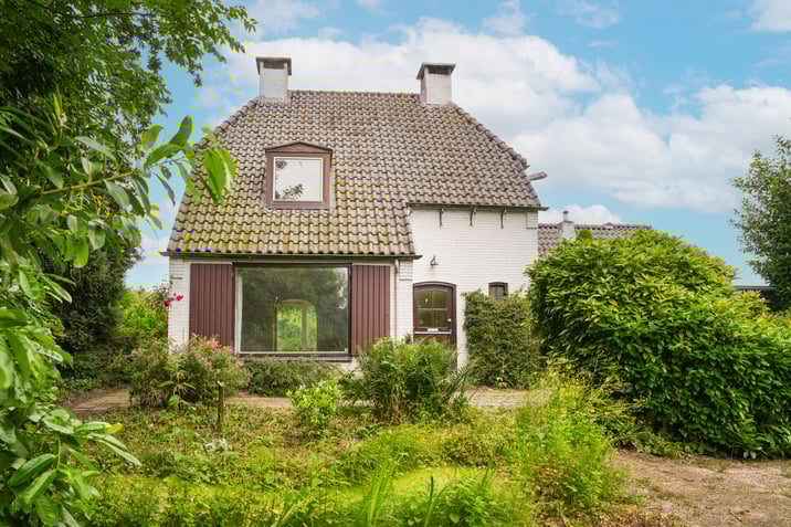 undefined main image