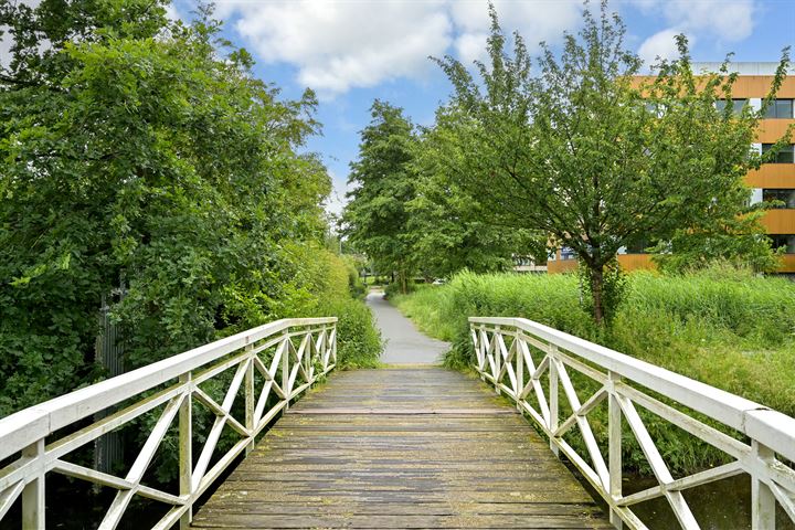 Bekijk foto 22 van Schenkkade 302