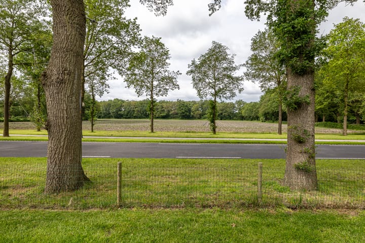 Foto 42 van Asserstraat 95