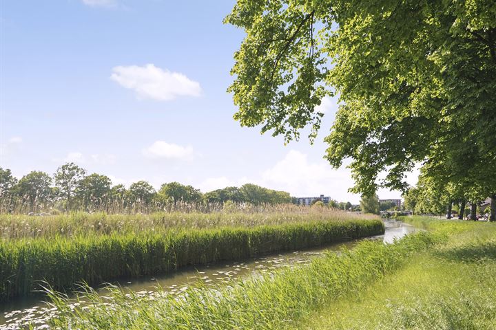 Bekijk foto 25 van Lagemorgenlaan 100