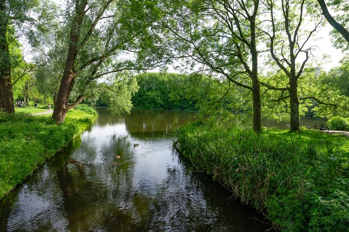 View photo 22 of Nachtwachtlaan 420