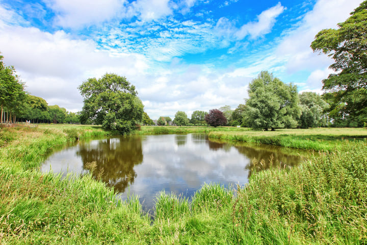 View photo 56 of Bloemendaalsestraatweg 3-B