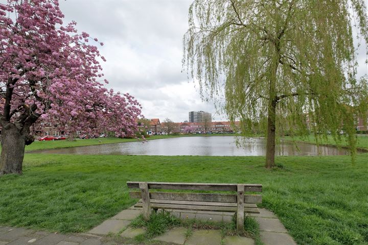 Bekijk foto 46 van Van Heemskerckstraat 31