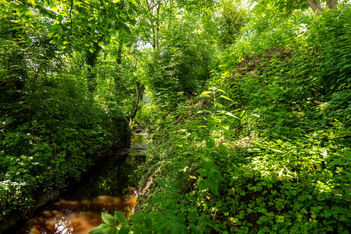 Bekijk foto 24 van Schilbergsweg 8