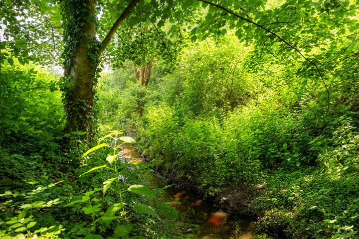 Bekijk foto 25 van Schilbergsweg 8