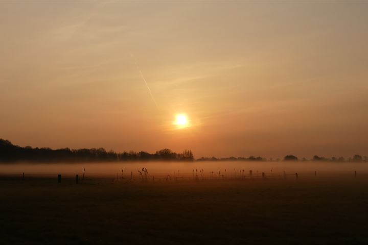 Bekijk foto 128 van Raamsweg 11