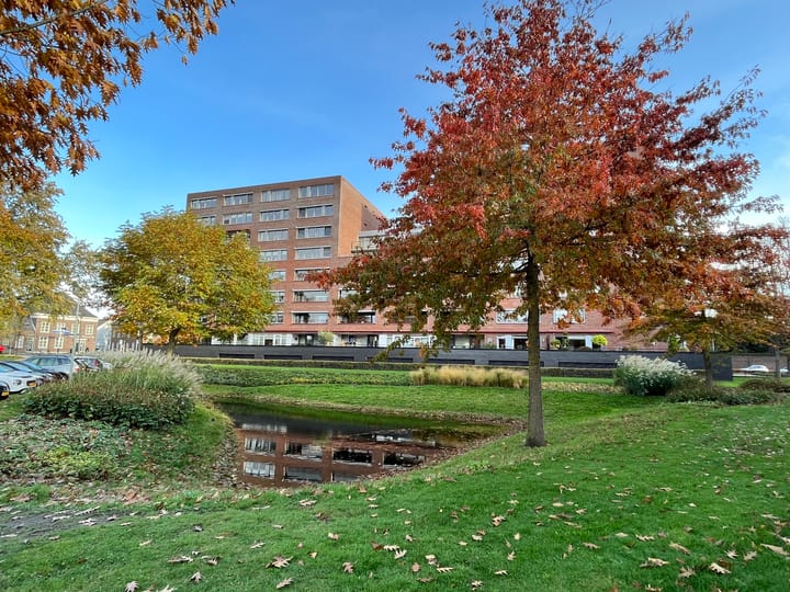 Foto 2 van Franciscanerpoort 40