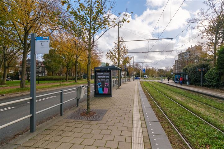 Bekijk foto 71 van Van Lennepweg 54