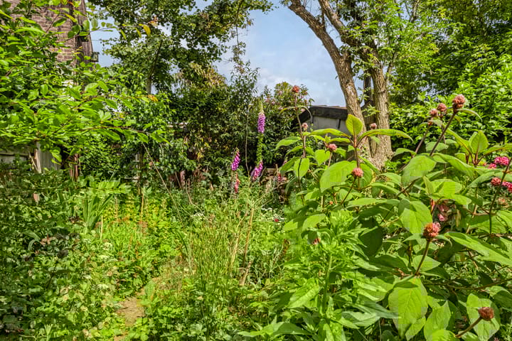 Foto 29 van Lovensestraat 178-C