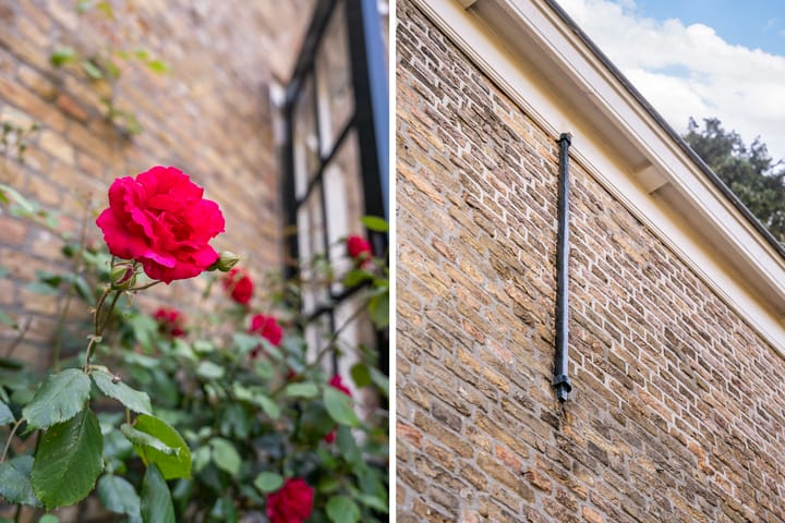 Foto 50 van Dorpsdijk 38