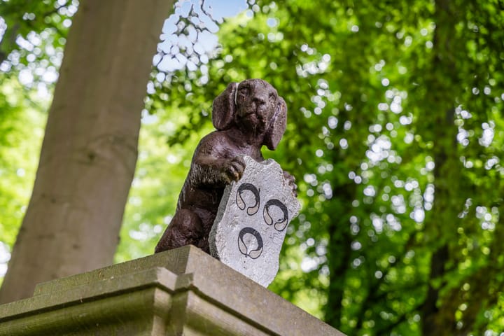 Foto 59 van Dorpsdijk 38