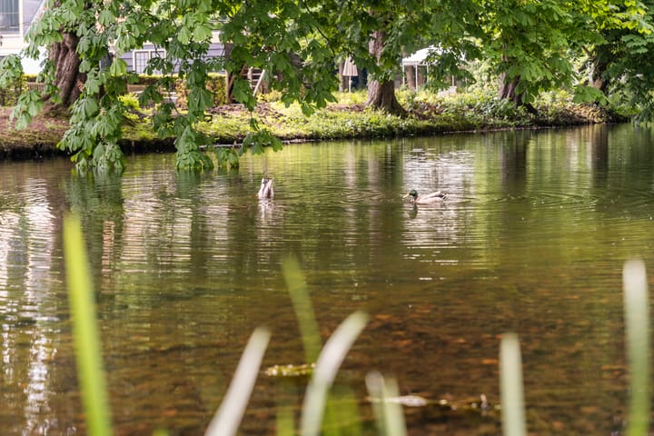 Foto 73 van Dorpsdijk 38