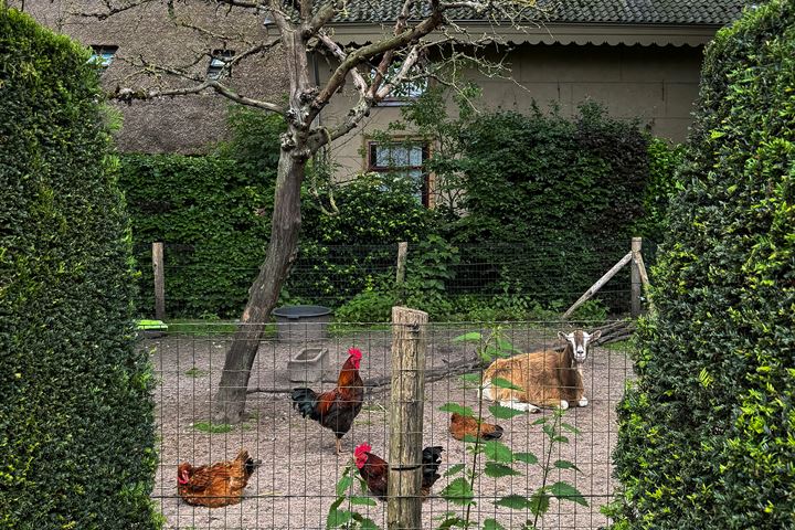 Bekijk foto 2 van Wakkerendijk 170