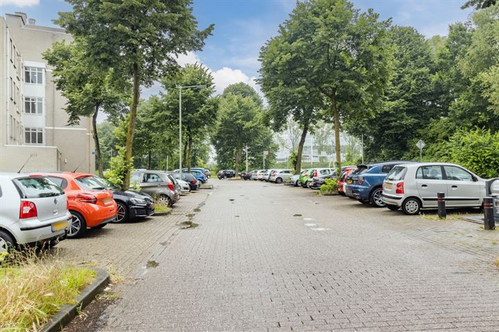 Bekijk foto 22 van Kronenburgsingel 229