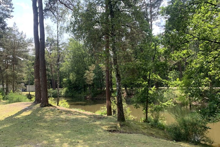 Foto 6 van Vennenbos 833