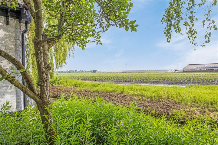 View photo 46 of Zwaagdijk 298