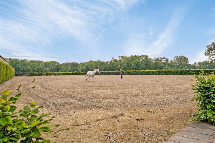 Bekijk foto 4 van Soeterbeekseweg 21