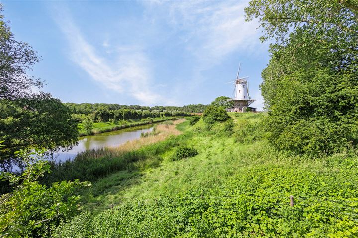 Bekijk foto 30 van Warwijcksestraat 18