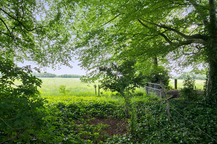 Bekijk foto 3 van Hoofdweg 22-A