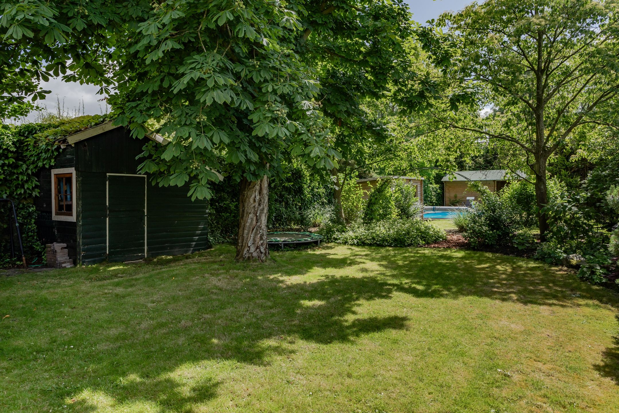 Photo 45 of Koewijzend 26-B