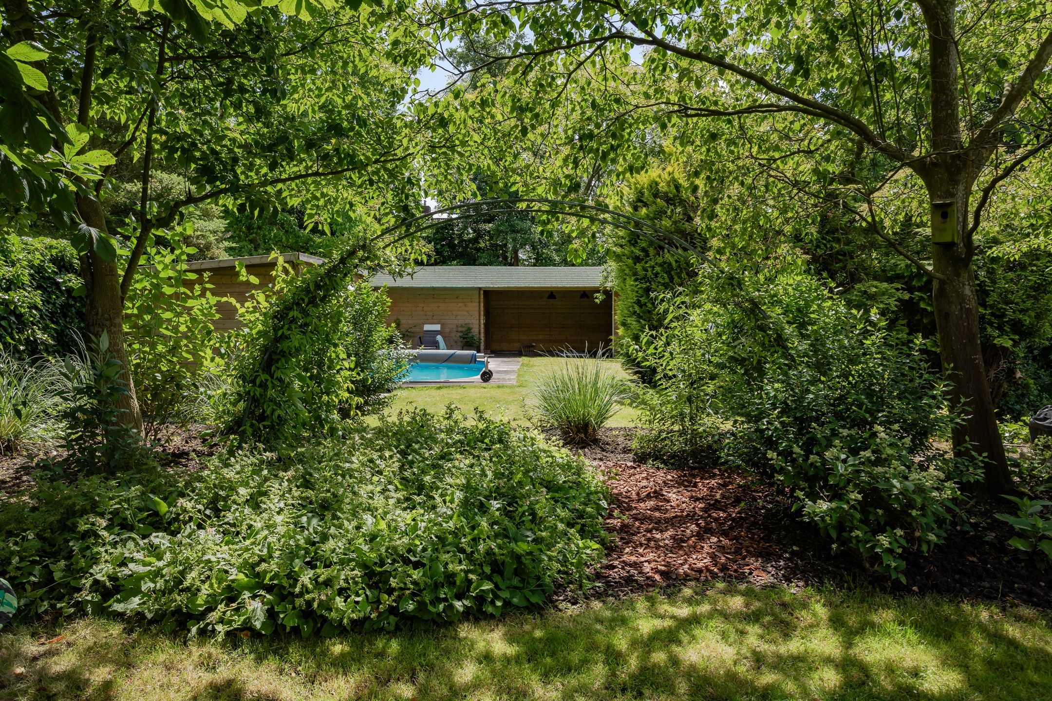 Photo 3 of Koewijzend 26-B