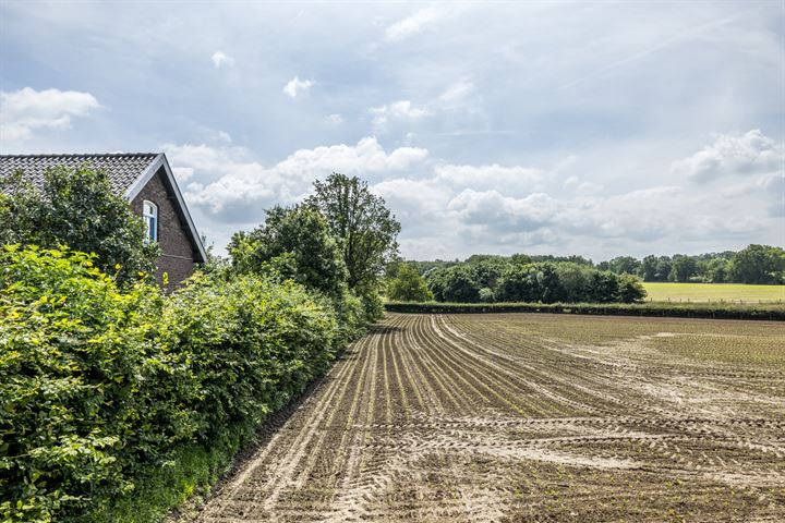 Bekijk foto 39 van Groot Welsden 42