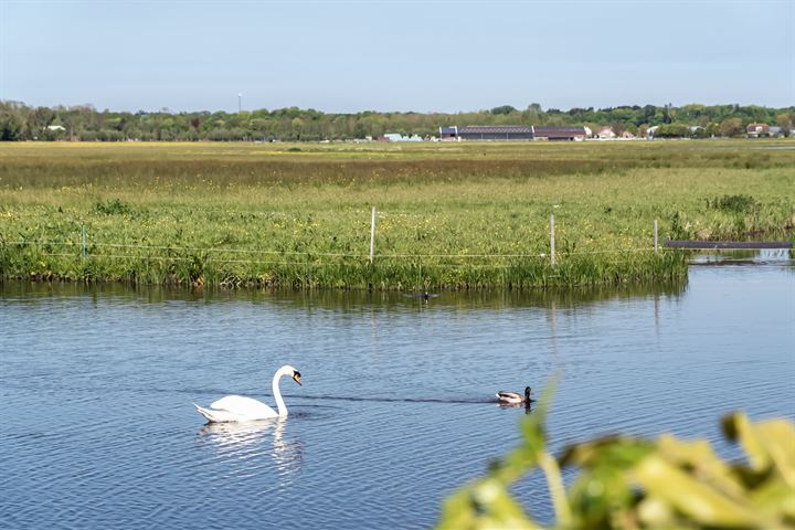 Bekijk foto 32 van Rendorppark 25