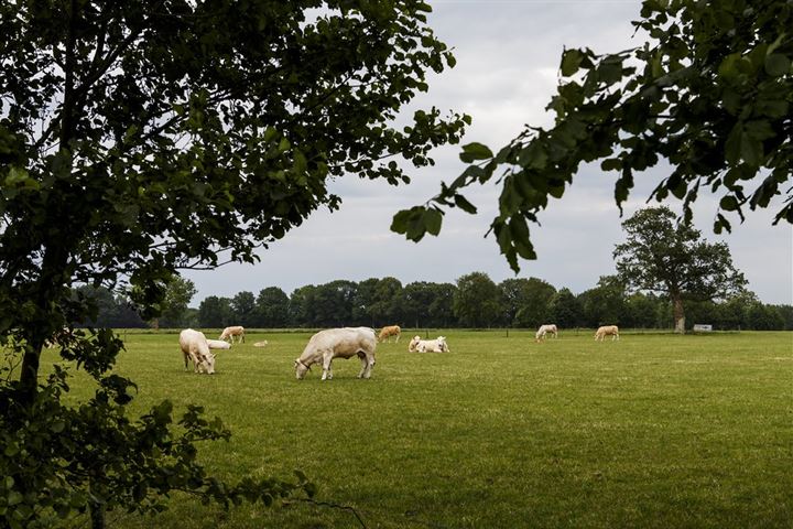 Bekijk foto 18 van De Bongerd 28