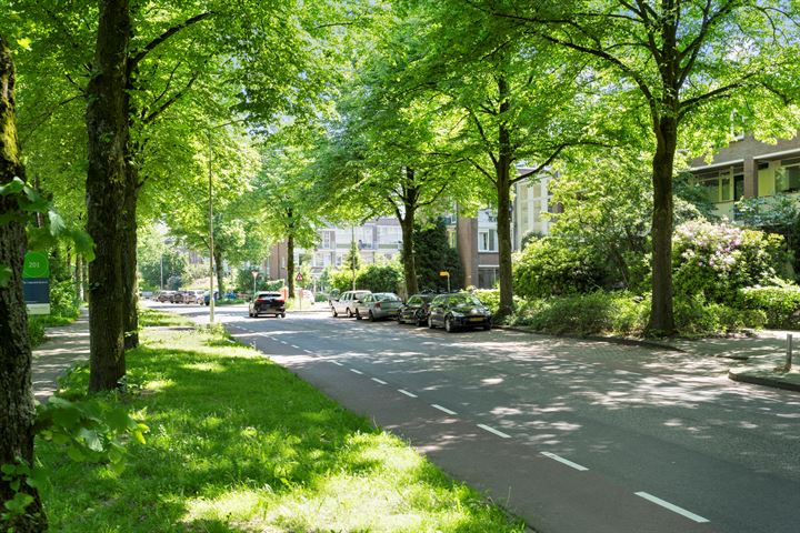 Bekijk foto 4 van Hollandseweg 52