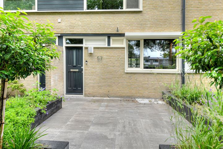 Bekijk foto 3 van Basielhof 57