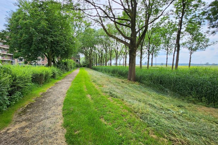 Bekijk foto 17 van Thorbeckestraat 432