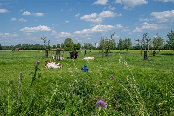 Bekijk foto 10 van Tweekapper | project Krangstraat (Bouwnr. 16)