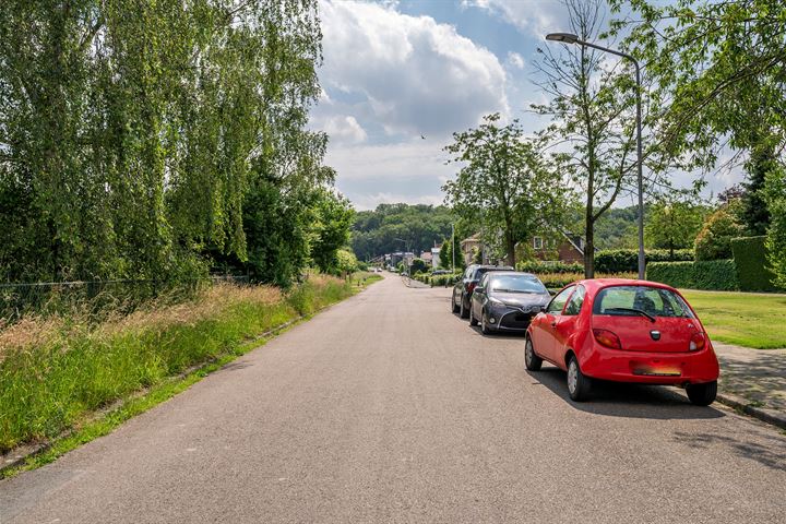 Bekijk foto 50 van Schaapsdijkweg 22