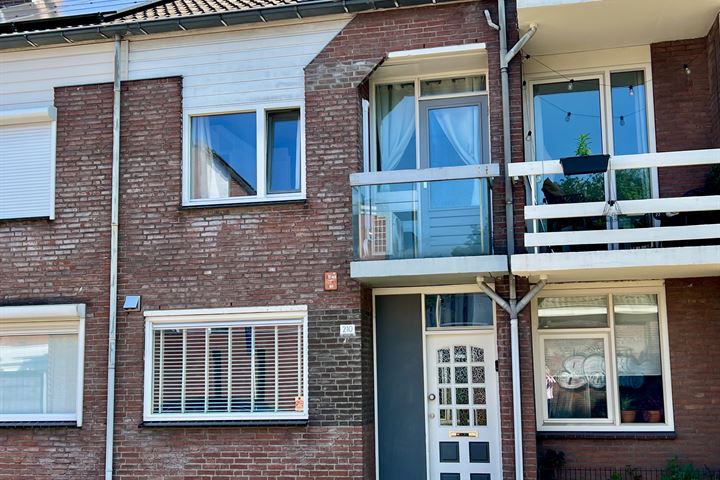 Bekijk foto 1 van Lovensestraat 210