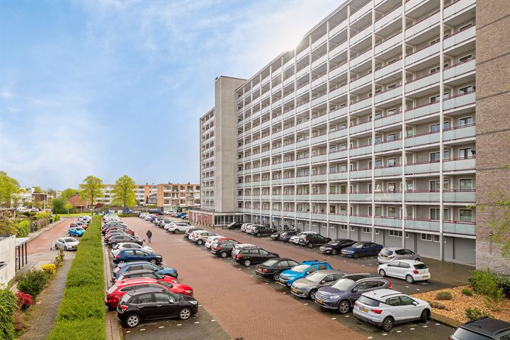 Bekijk foto 10 van Akeleistraat 40-G