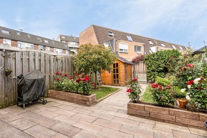 Foto 7 van Brindisipad 17