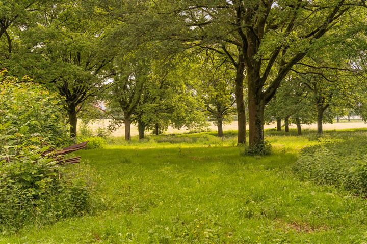 Bekijk foto 66 van Eerdshaag 11