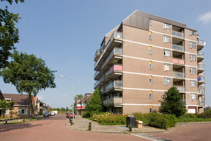 Bekijk foto 6 van Steendijk 49