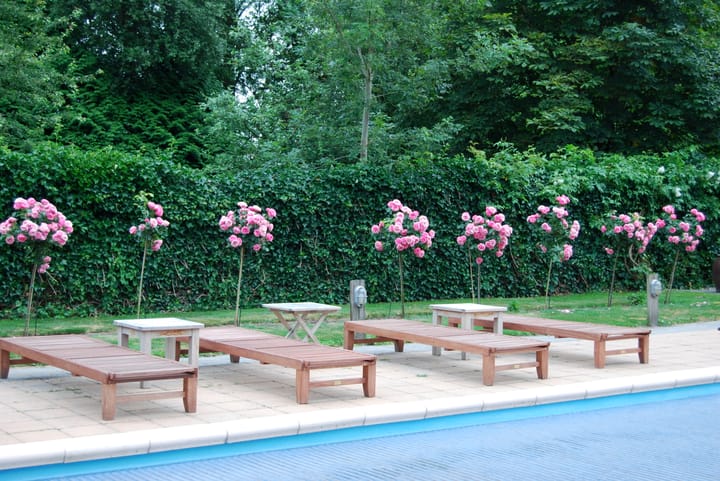 Foto 57 van De Hege Bouwen 19