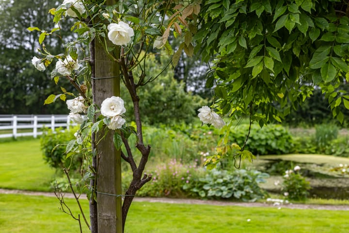 Foto 65 van De Hege Bouwen 19