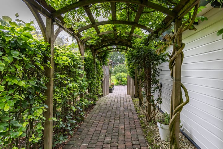 Foto 63 van De Hege Bouwen 19