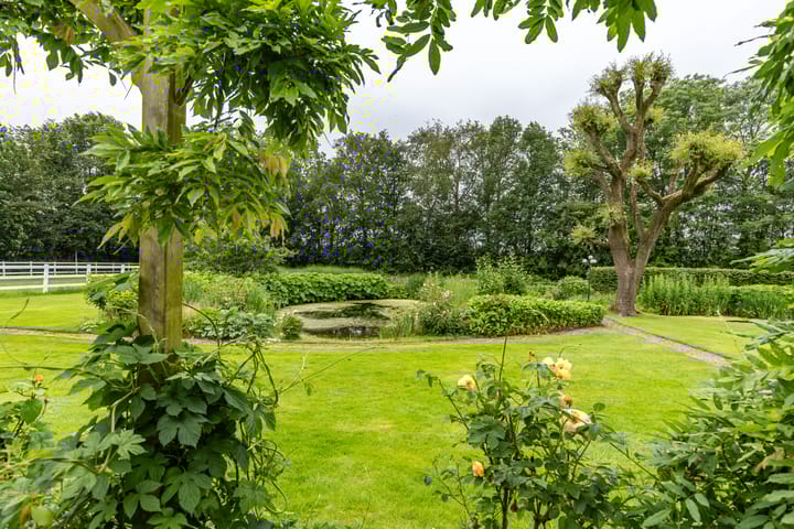 Foto 68 van De Hege Bouwen 19