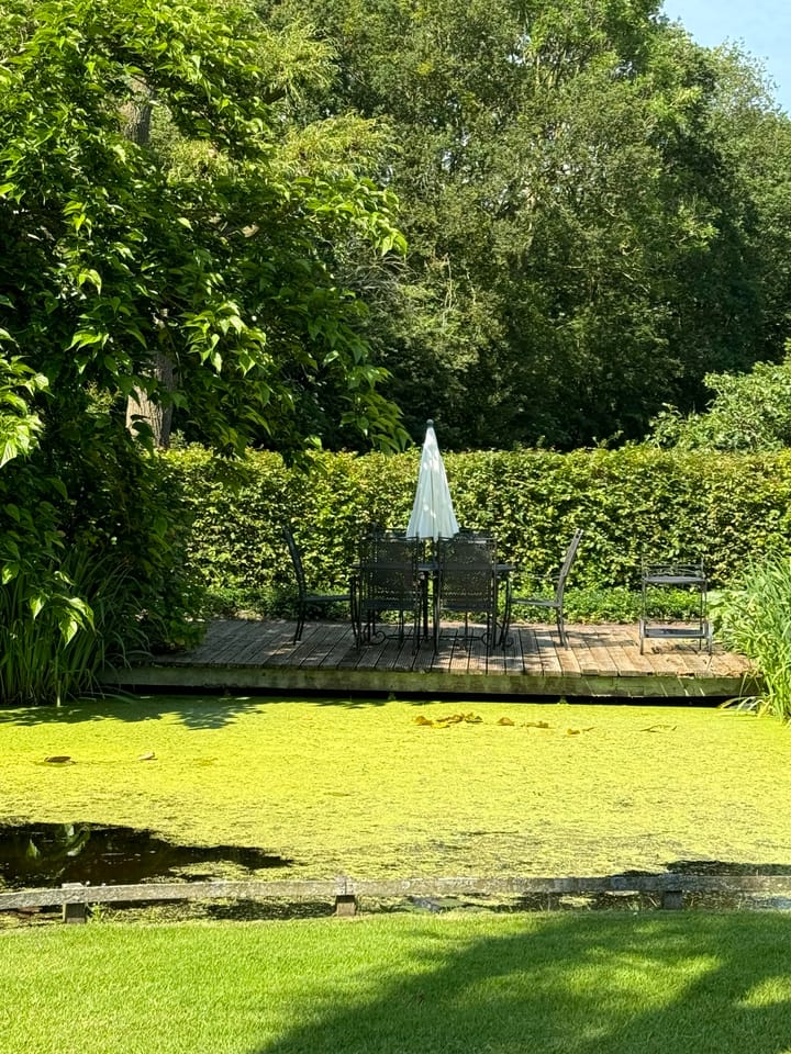 Foto 71 van De Hege Bouwen 19