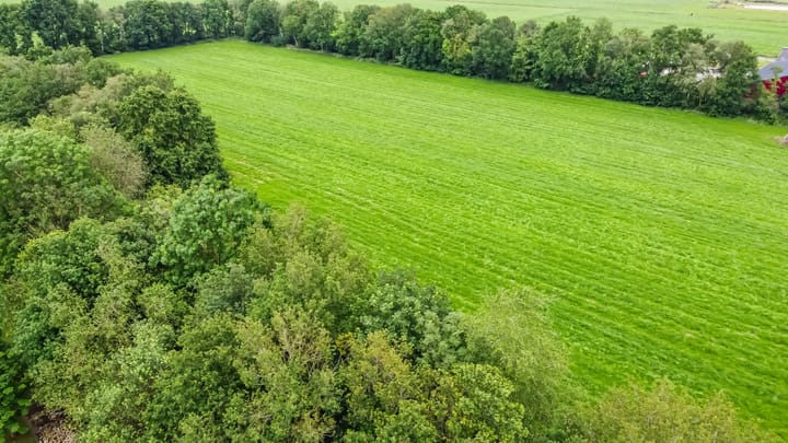 Foto 77 van De Hege Bouwen 19